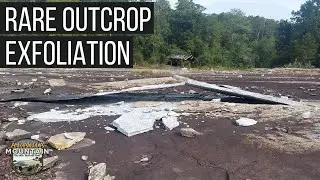 Rare Outcrop Exfoliation at Arabia Mountain National Heritage Area