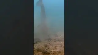 Les br&egrave;mes envahissent le spot ! 😅