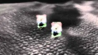 Broadway part 1.wmv [PREVIOUSLY UNLISTED VIDEO]
