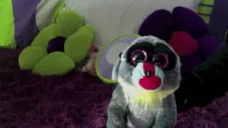 Beanie Boos:  Wasabi Raps in 