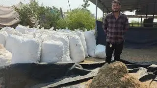 India Ka Sabse Sasta Goat Feed | Mat Ka Bhussa | Wholesale Main Milega Talha Malek Surat Gujarat. 