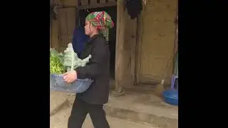 CEO Jack’s mother received help from single mother, which made her husband blindly #viral #youtube 