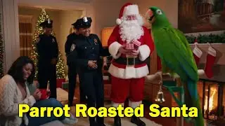 Santa Never Expected This From The Green Parrot | Christmas Gone Wrong 😂 Talking Parrot Destroys