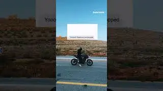 EVERYBODY LOVES DASHTOON 😎 #viral #viralmemes #meme #viralvideo #youtubeshorts #shorts