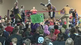 Insane Wrestling Revolution