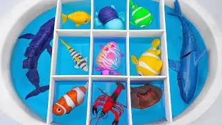 Toy asmr 🐠 Zuru Robo Alive Fishing Game Aquarium Playset ASMR Satisfying with Unboxing | Review toys