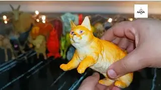 Lots of Animal Toys | Learn animal names | Farm Animals Cow Duck chicken buffalos 