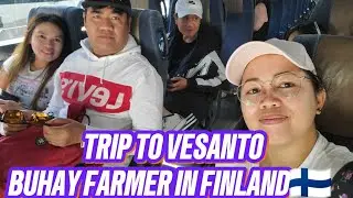 BUHAY FARMER IN FINLAND||TRIP TO VESANTO KUOPIO||STRAWBERRY FARM||