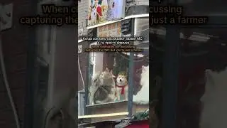 Когда ты фермер... Vikings: War of Clans  #vikingswarofclans #shorts #dog #memes