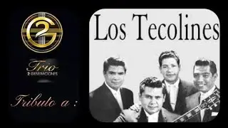 TRIBUTO A LOS TECOLINES