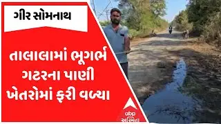 Gir Somnath Farmers | તાલાલામાં ભૂગર્ભ ગટરના પાણી ખેતરોમાં ફરી વળ્યા, જુઓ અહેવાલ