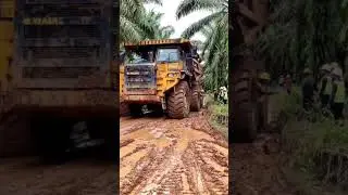 Truk sawit terbesar melewati jalan berlumpur #trukoleng #viralvideo #reels #fyp #truk #truck