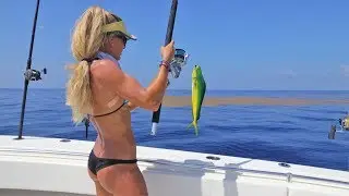 Florida Deep Sea Fishing on HUGE Seaweed Mats for Mahi Mahi aka Dolphinfish