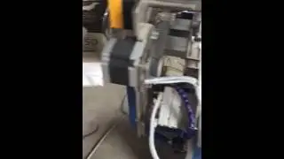 Disposable pets under pad packing machine, pet pads packaging machine, korea customer