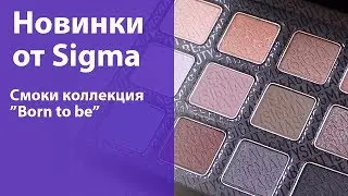 Review of the new cosmetics collection from Sigma - Born to be (shadows, glosses, pencils, blush,...