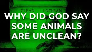 Weird Old Testament Laws: Clean and Unclean Food
