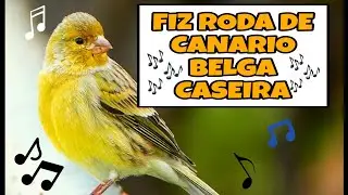 RELANPAGO E ZION SE DESTACANDO NA RODA CASEIRA 😍😍