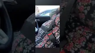 Ssbbw in car