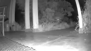 Critter Cam™ - Fox Redux