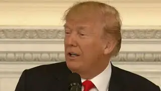 Trump leads conversation on gun reform