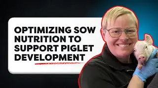 Improving Sow Nutrition for Better Piglet Outcomes - Dr. Anja Strathe