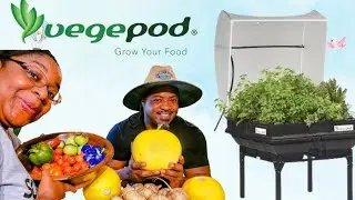 Small Space Raised Bed Gardening | VegePod