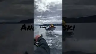 jetski fight#fight nz#fyp