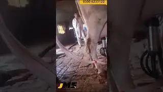Milking Machine International Standard Home Delivery Allover Pakistan JMS UAN:03041115677