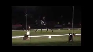 Julia Schulz Intermediaire 1 K&uuml;r Norderney  2015