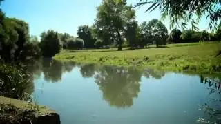 Visite du parc des Ansereuilles - Wavrin -