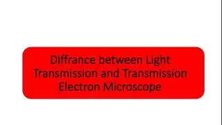 Diffrance between Light Microscopy and Transmission Electron Microscope