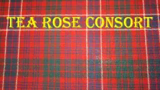 Scottish Traditional Music: Jenny's Lamentation