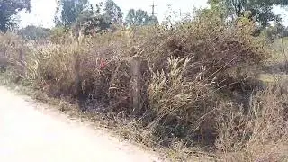 ไปชมบรรยากาศที่เขื่อน(ช่องบ่าวอุบล