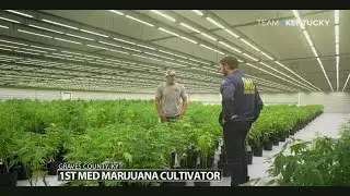 Kentucky facility begins cultivating state's first medical cannabis inventory