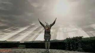 Dark Souls Solaire Praise the Sun Gesture