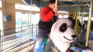 Chris Turtle Back Zoo Carousel November 2014