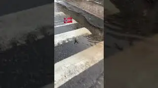 German Embassy in Norway Oslo City 🇳🇴🇩🇪 #norway #oslo #views #viralvideo