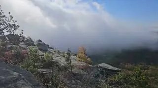 Bear Hill Nature Preserve, Shawangunks NY
