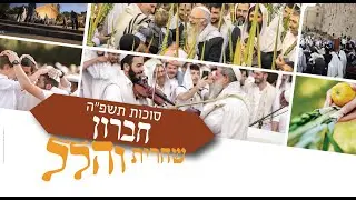 תפילת הלל בשירה שמחה וכוונת הלב מחברון | הרב שמואל אליהו | חול המועד סוכות תשפ