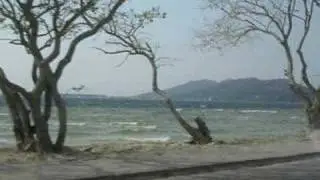 A Estrada - Cidade Negra