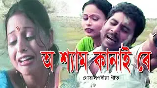 O Shyam Kanai Re ll  অ শ্যাম কানাই ll Nurul Sagarpreet
