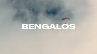 PASSEPARTOUT - BENGALOS