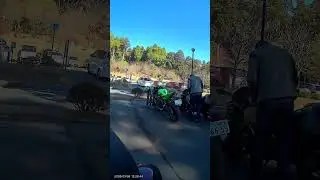 2026 01 06 霧島神宮初詣 F online video cutter com