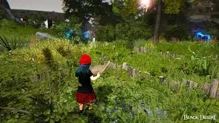 Processing Guide: Olvia&rsquo;s Academy Training Course Part 2 (2026) | Black Desert Online