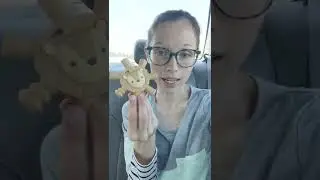 Road tripping with a high needs baby!