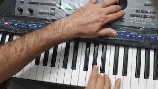 فرنگیس سیاوش قمیشی اجرای استاد  رامین رکن منظر 