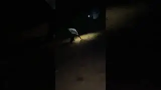 Experiment on Petrol ⛽️// Diwali Enjoy 🥰// #shortsvideos #trending #viral #king #fashiontrends