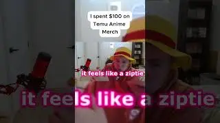 AWFUL Temu Anime Merch