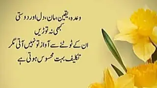 Motivational speach/Urdu poetry/Goldenwords/Aqwale zareen new