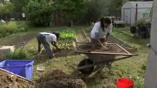 Oak Park Urban Farm - America's Heartland
